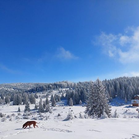 فيلا Gold Hill Sekulic المظهر الخارجي الصورة